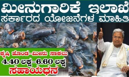 https://fisheries.karnataka.gov.in/
